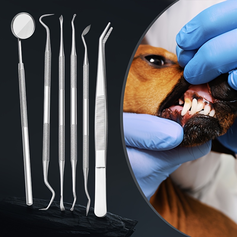 6 piezas de removedor de sarro - Teeth Whitening Mouthwash reseña y precio