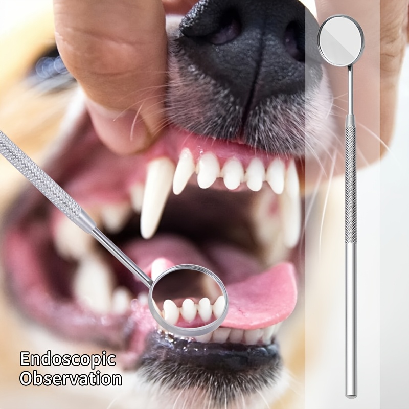 6 piezas de removedor de sarro - Teeth Whitening Mouthwash reseña y precio